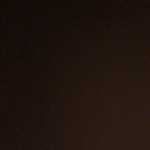 Meet your Posher, Roxanne